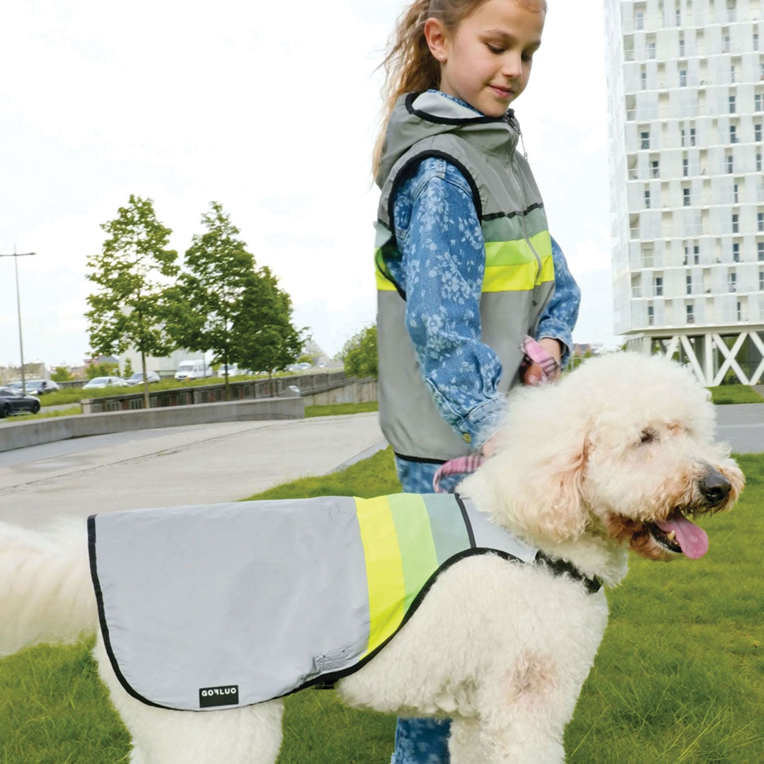 Moonlight | Grey reflective – GOFLUO Inc